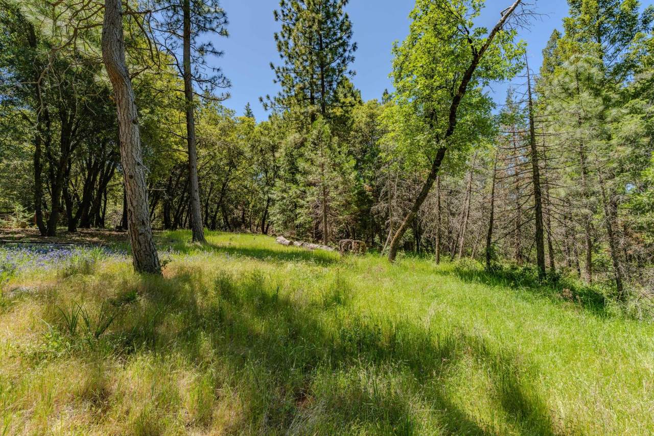 0 Allan Road - Photo 1