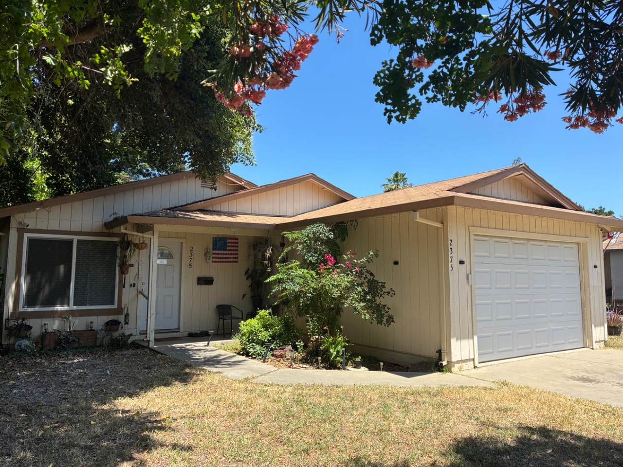 2375 Birch Street - Photo 1