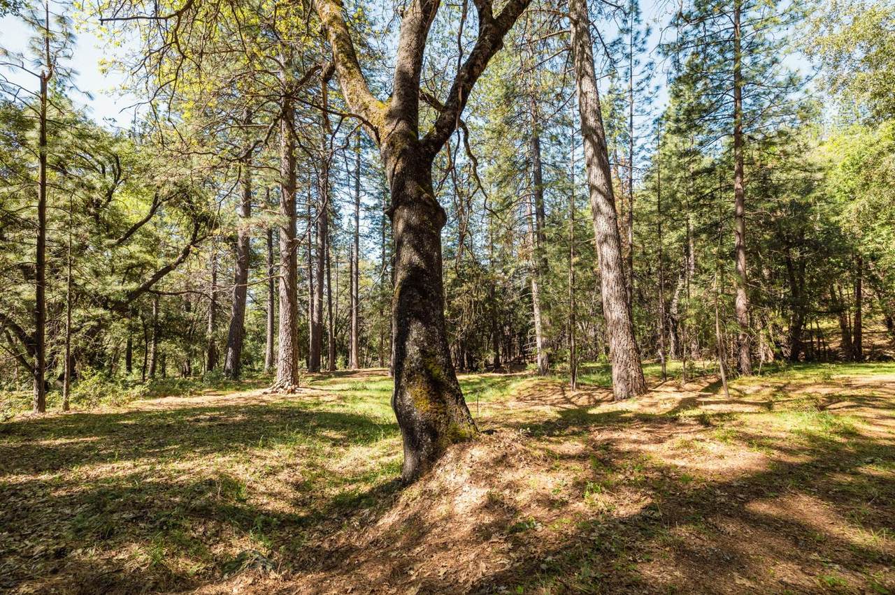 14737 Big Hill Road - Photo 1