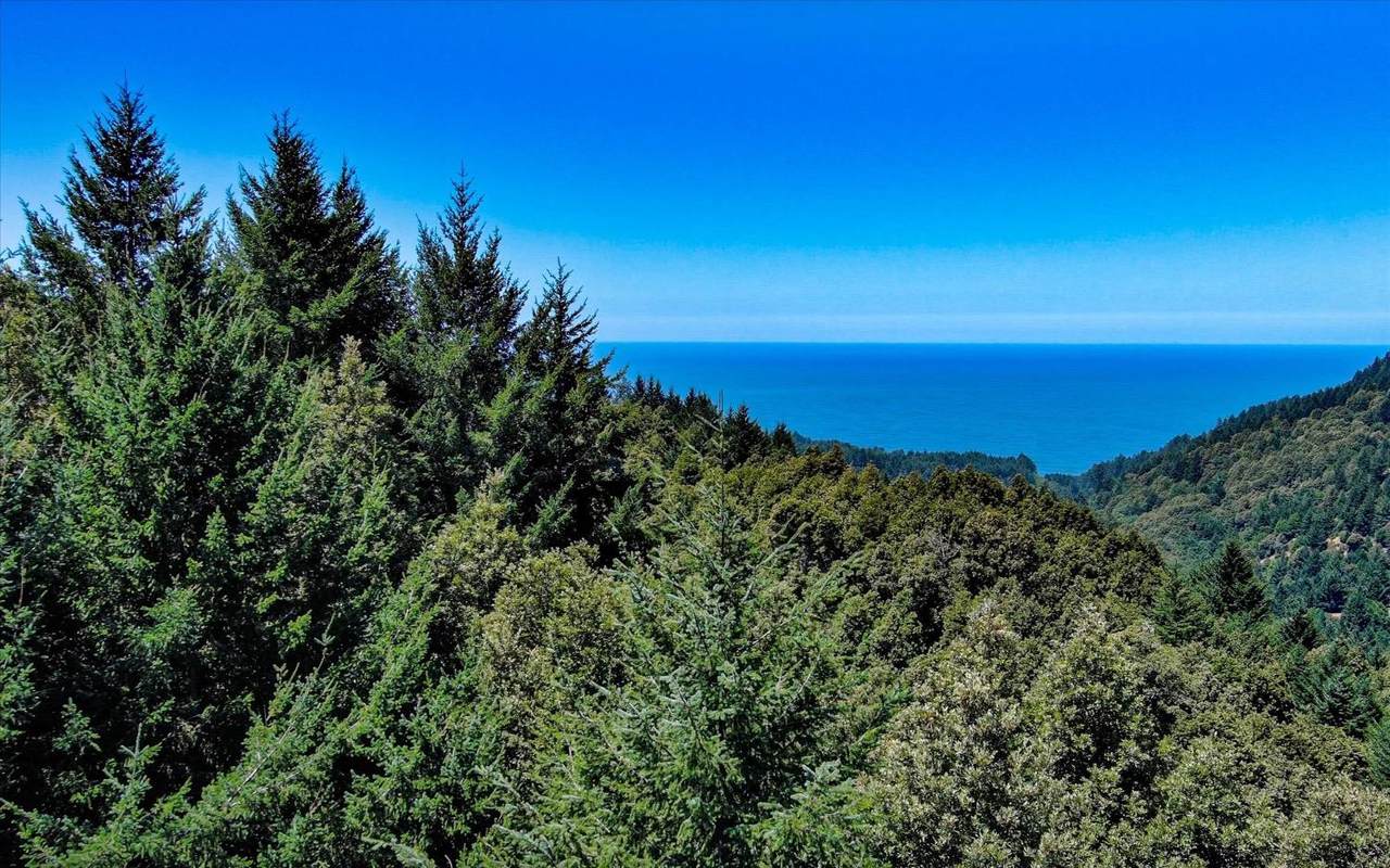 91 Walker Way - Photo 1