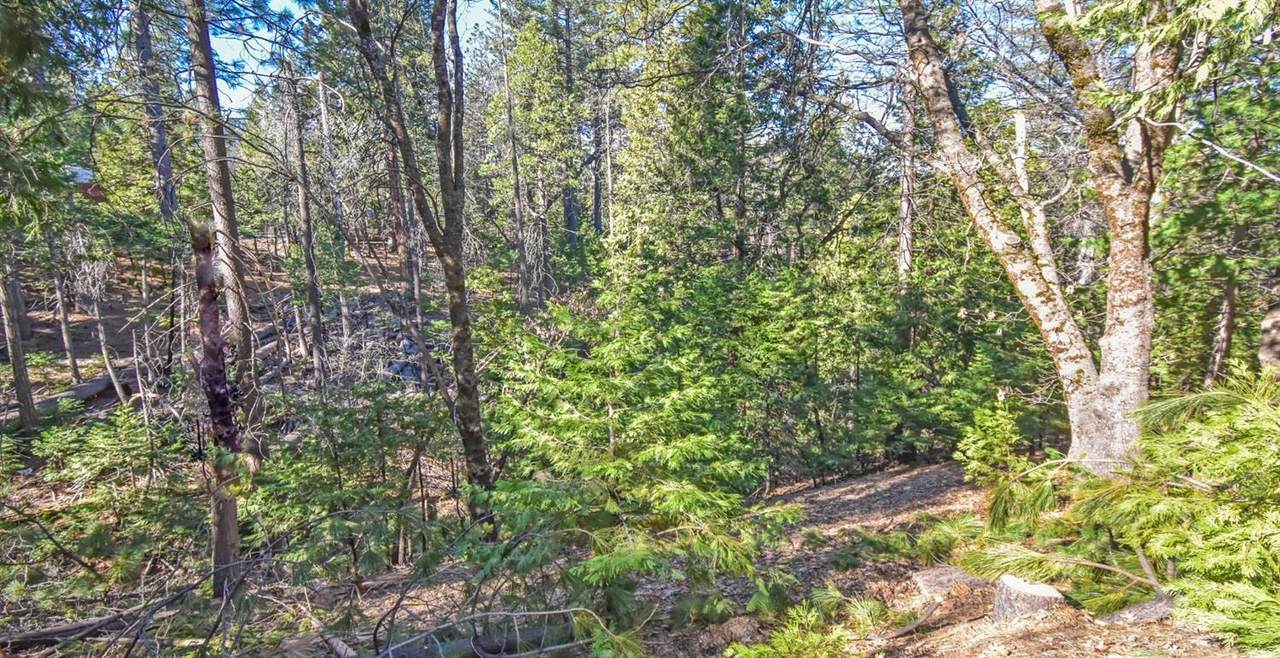 24184 Awahanee Road - Photo 1