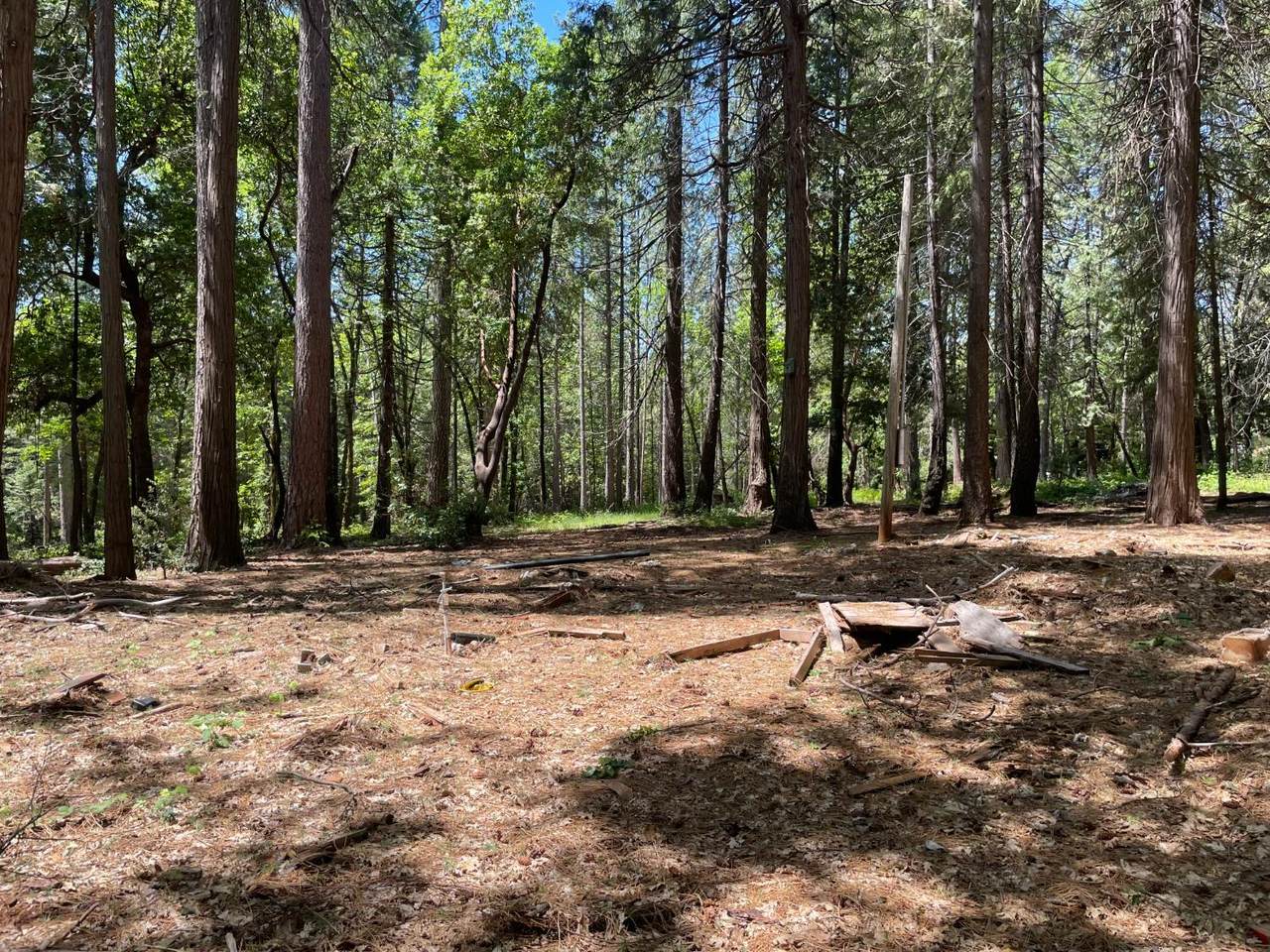 55 Buckeye Drive - Photo 1