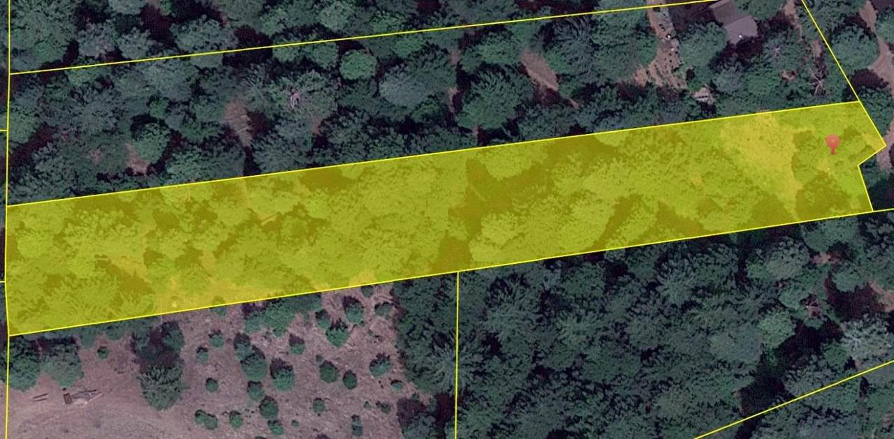 1 Stacy Lane - Photo 1