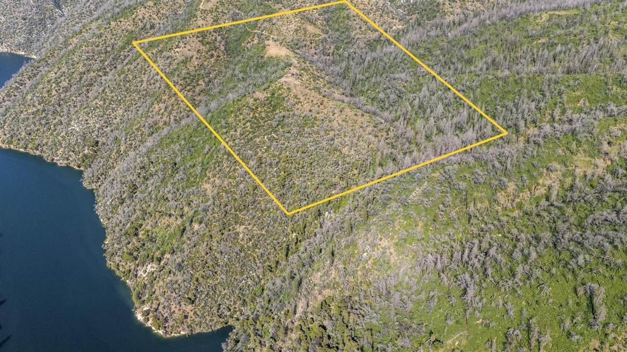 0 Long Point Road - Photo 1