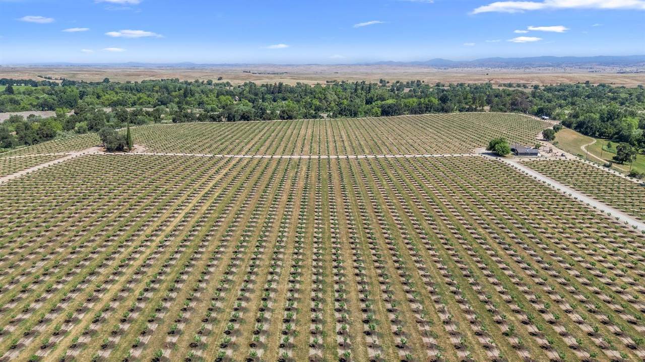 15743 Allen Rd - Photo 1