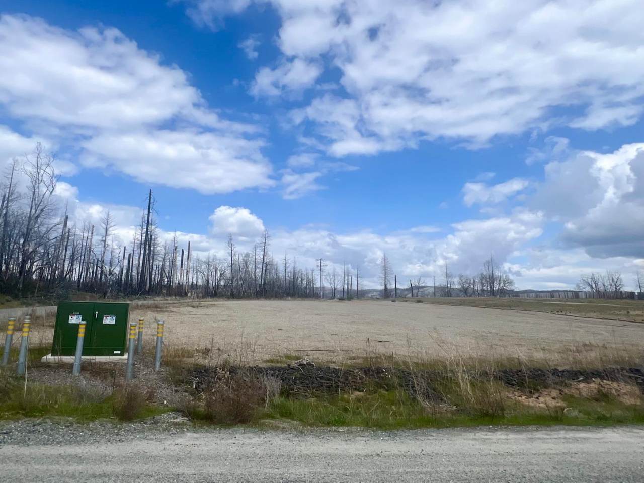 10 Chipmonk Court - Photo 1