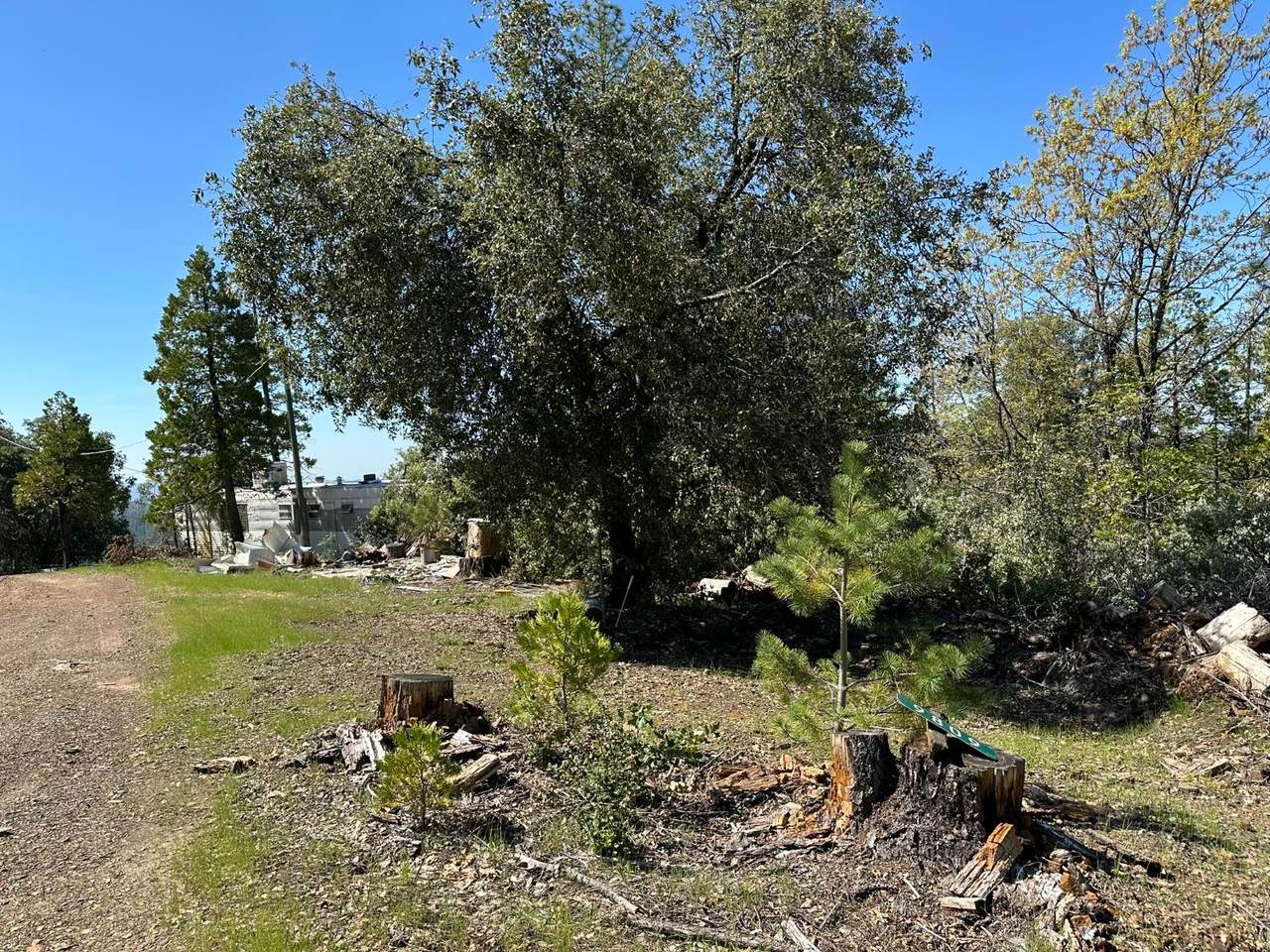 9809 Wildrose Lane - Photo 1