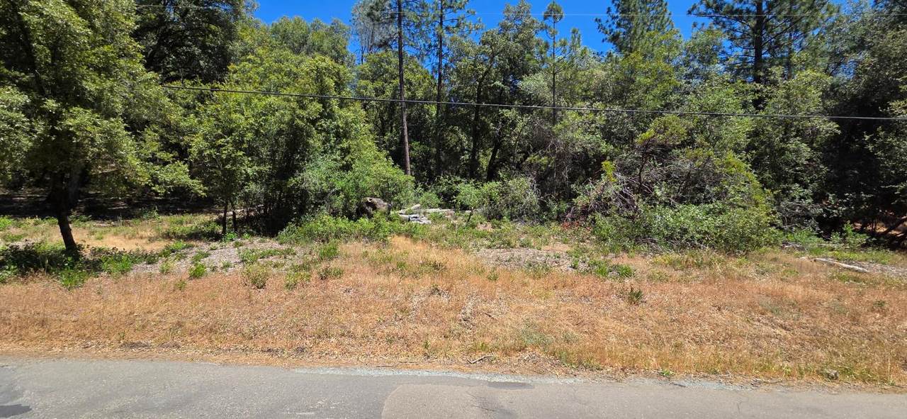 0 Freshwater Lane - Photo 1