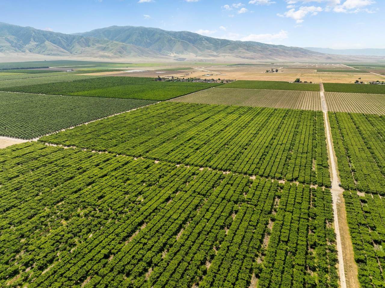 0 Rock Pile - Photo 1