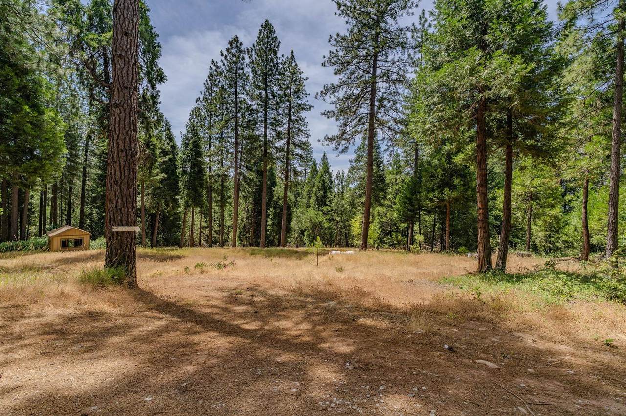 17770 Gold Creek Trail - Photo 1
