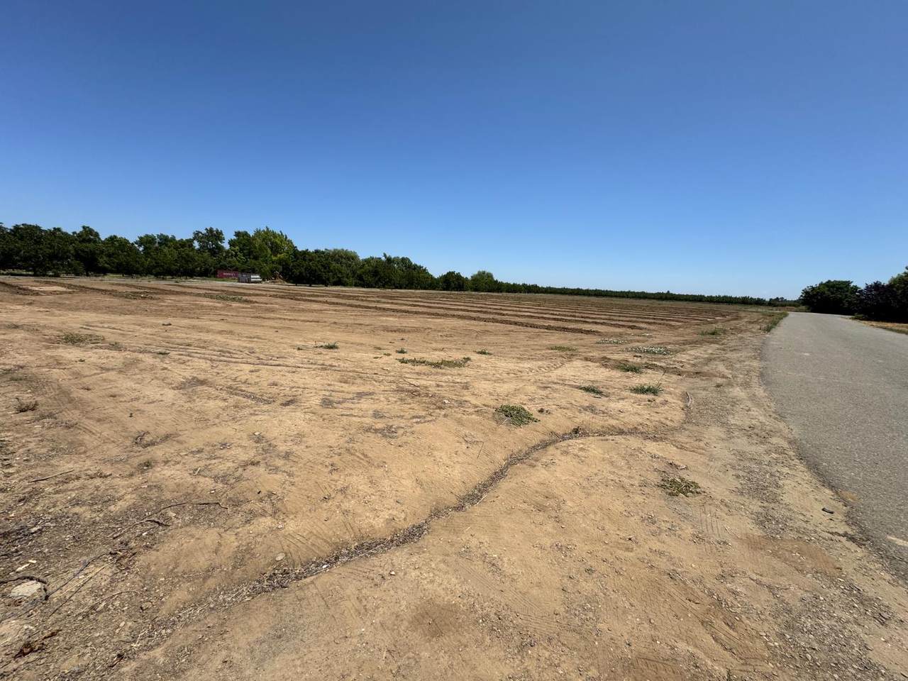https://bt-photos.global.ssl.fastly.net/sacramento/1280_boomver_1_560883125-2.jpg