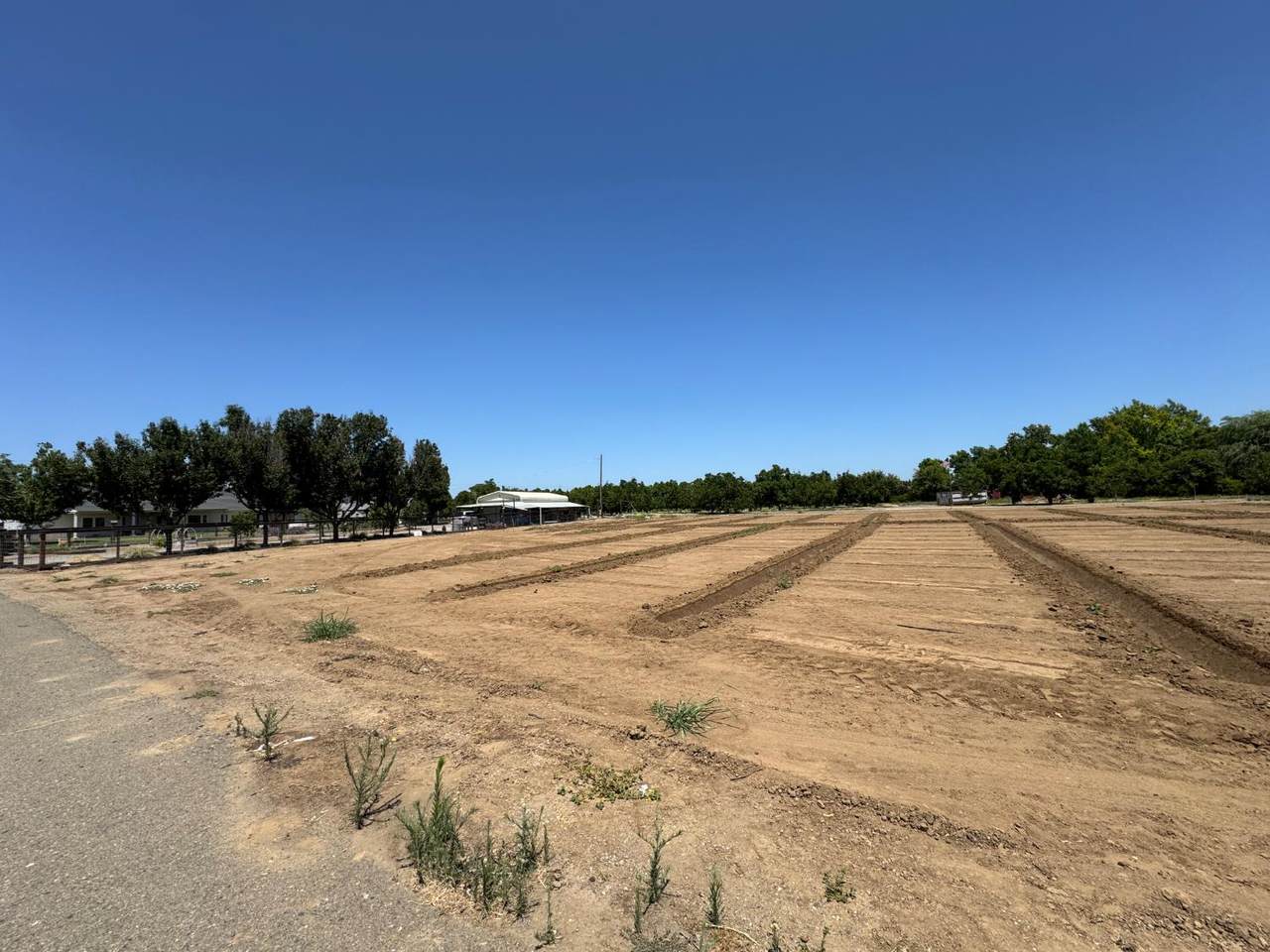 https://bt-photos.global.ssl.fastly.net/sacramento/1280_boomver_1_560883125-2.jpg