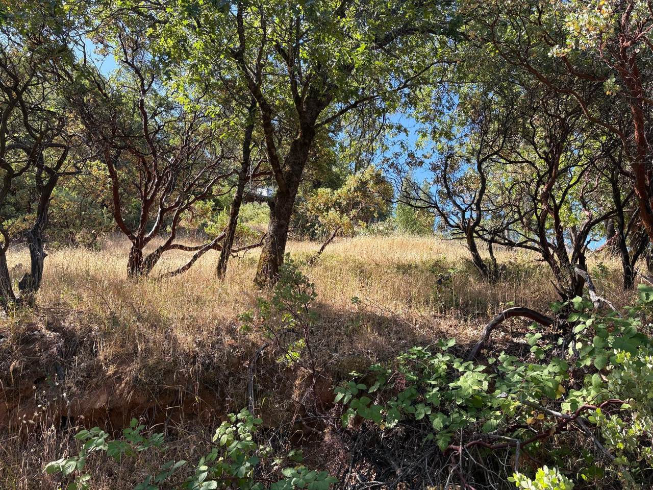 https://bt-photos.global.ssl.fastly.net/sacramento/1280_boomver_1_560886772-2.jpg