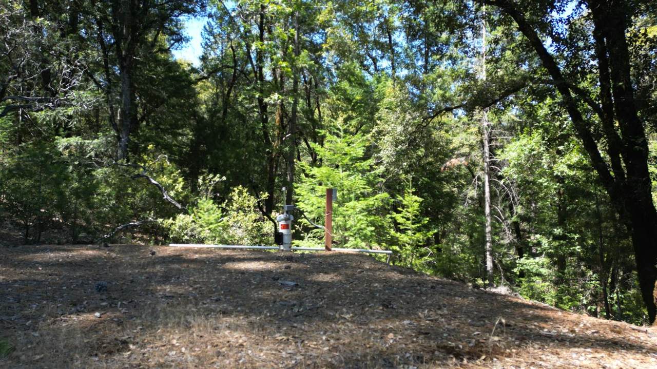 https://bt-photos.global.ssl.fastly.net/sacramento/1280_boomver_1_560888158-2.jpg