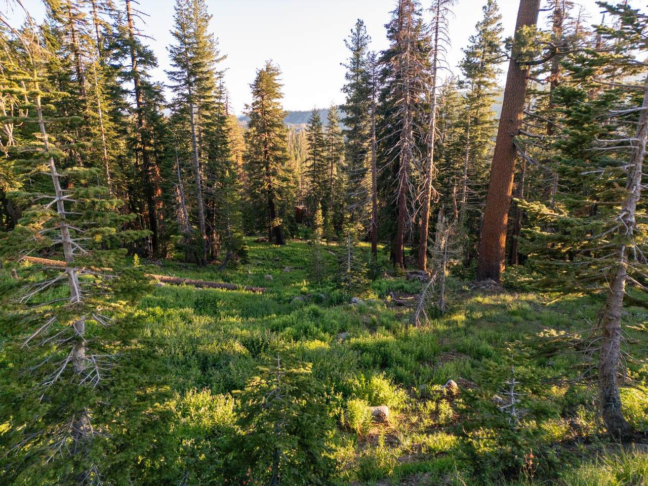 https://bt-photos.global.ssl.fastly.net/sacramento/1280_boomver_1_560888530-2.jpg