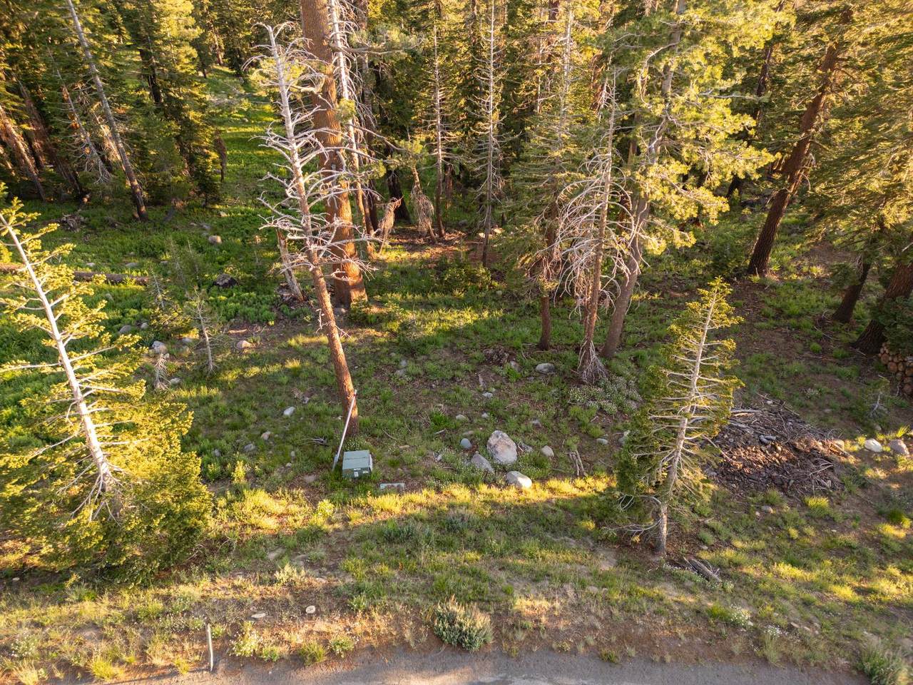https://bt-photos.global.ssl.fastly.net/sacramento/1280_boomver_1_560888530-2.jpg
