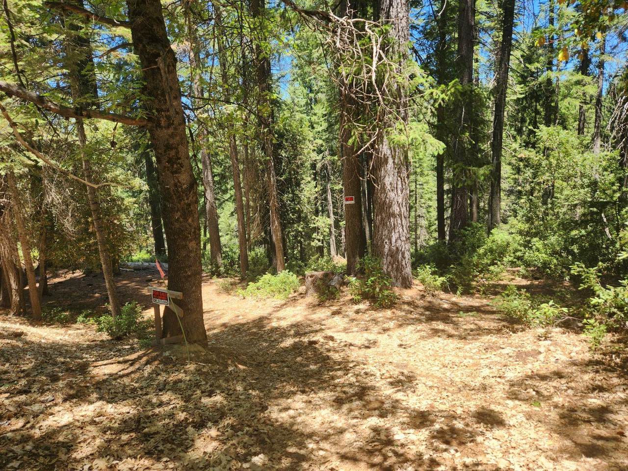6296 Merry Way - Photo 1