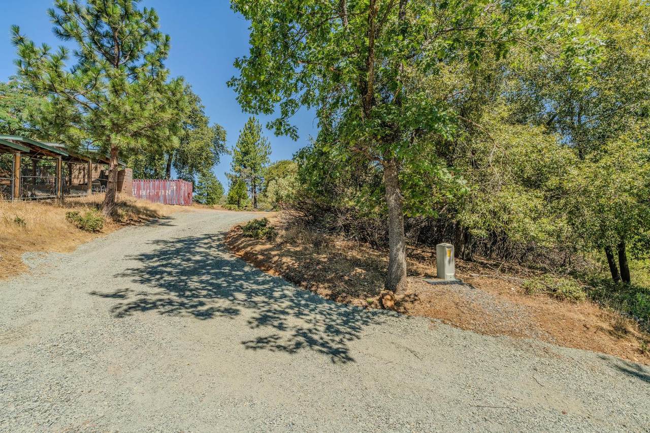 https://bt-photos.global.ssl.fastly.net/sacramento/1280_boomver_1_560891060-3.jpg