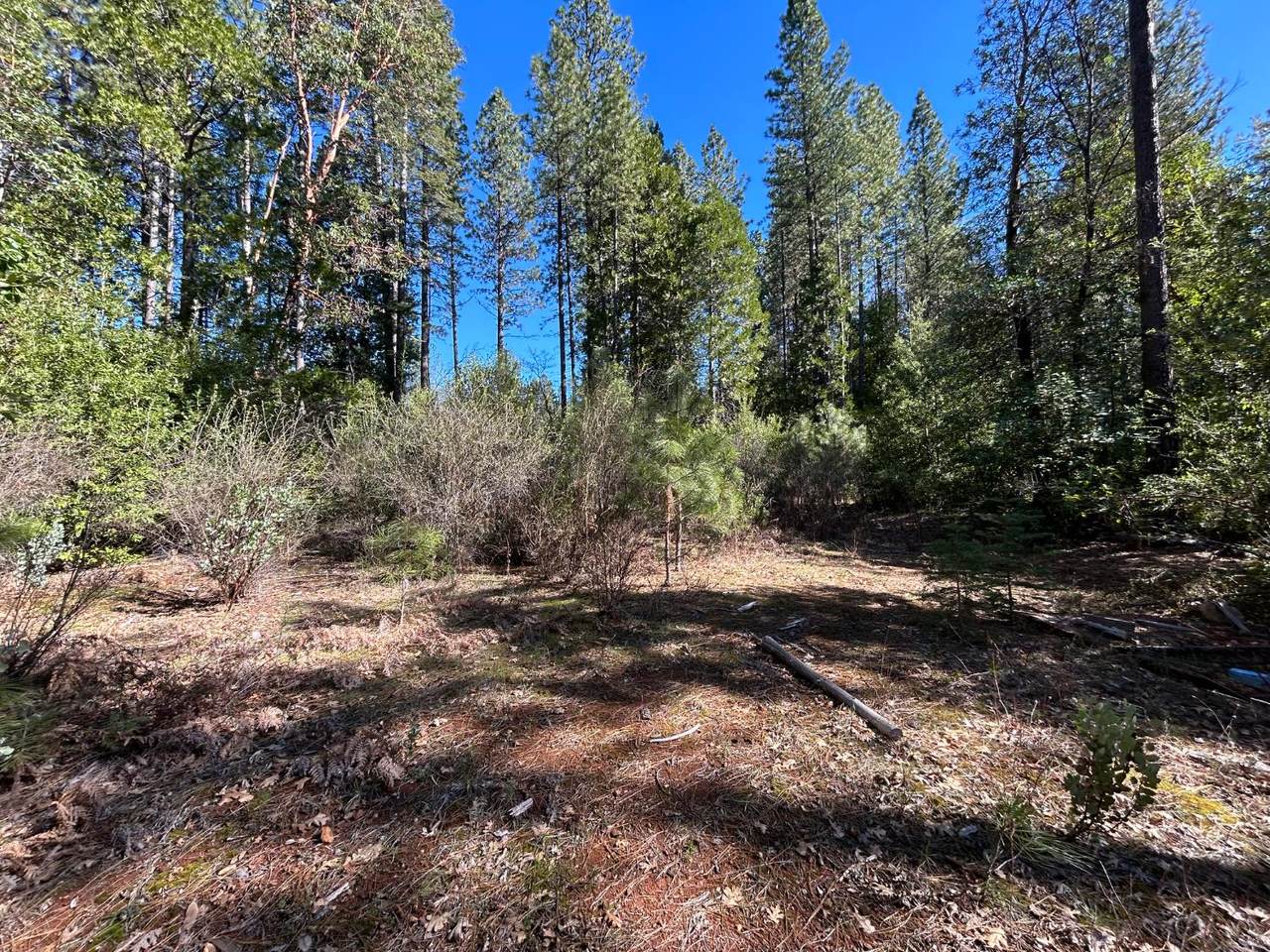https://bt-photos.global.ssl.fastly.net/sacramento/1280_boomver_1_560891201-2.jpg