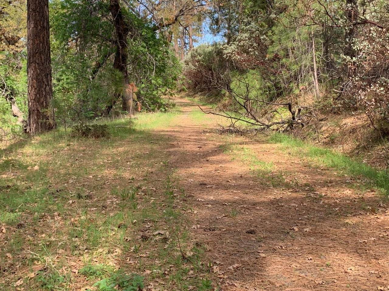 0 Old Schoolhouse Road - Photo 1