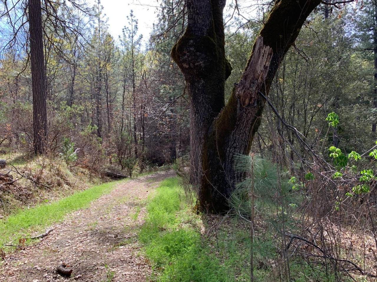 https://bt-photos.global.ssl.fastly.net/sacramento/1280_boomver_1_560892683-2.jpg