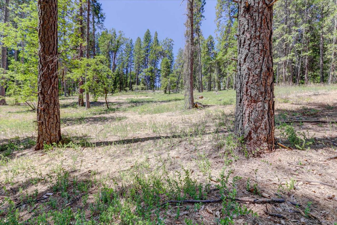 https://bt-photos.global.ssl.fastly.net/sacramento/1280_boomver_1_560893611-2.jpg