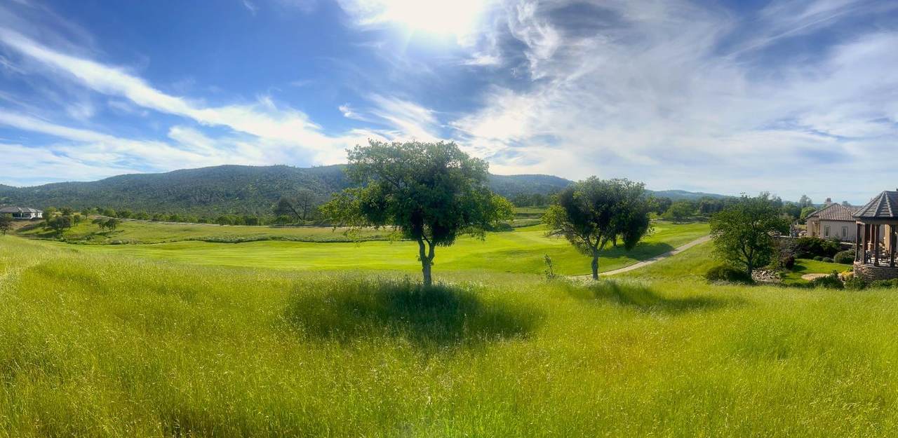 1904 Oak Creek Drive - Photo 1