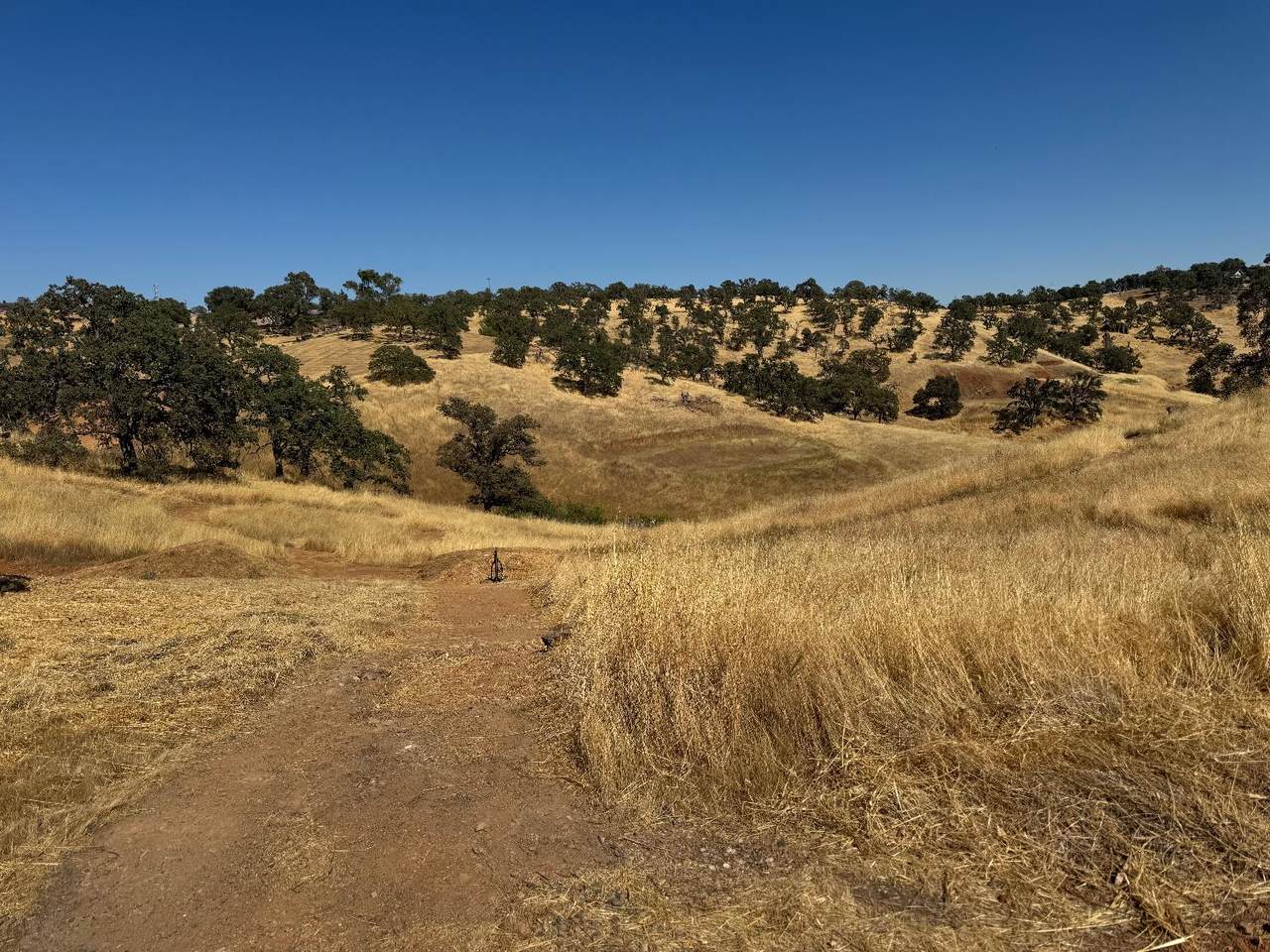 https://bt-photos.global.ssl.fastly.net/sacramento/1280_boomver_1_560895557-2.jpg