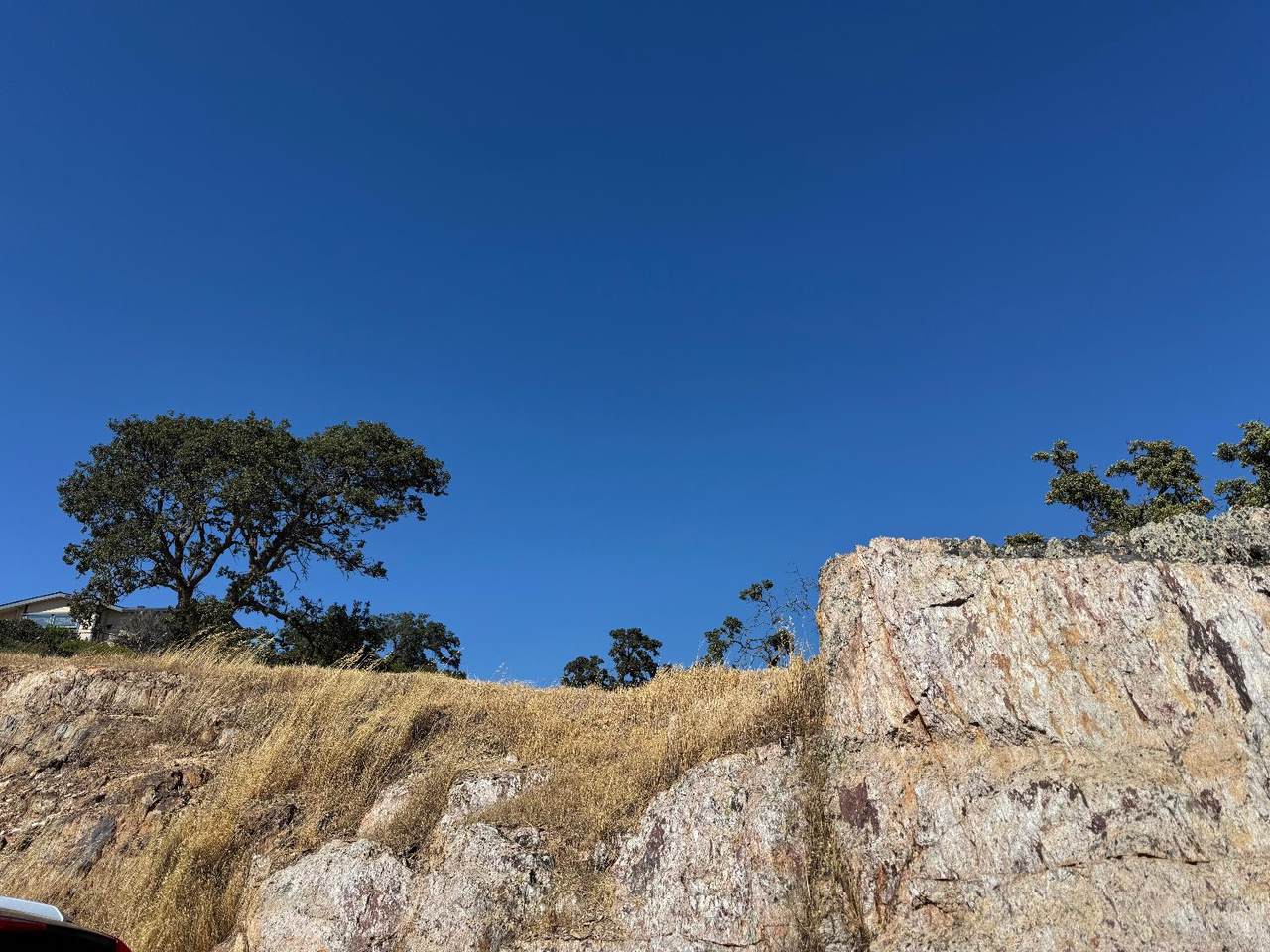https://bt-photos.global.ssl.fastly.net/sacramento/1280_boomver_1_560895557-2.jpg