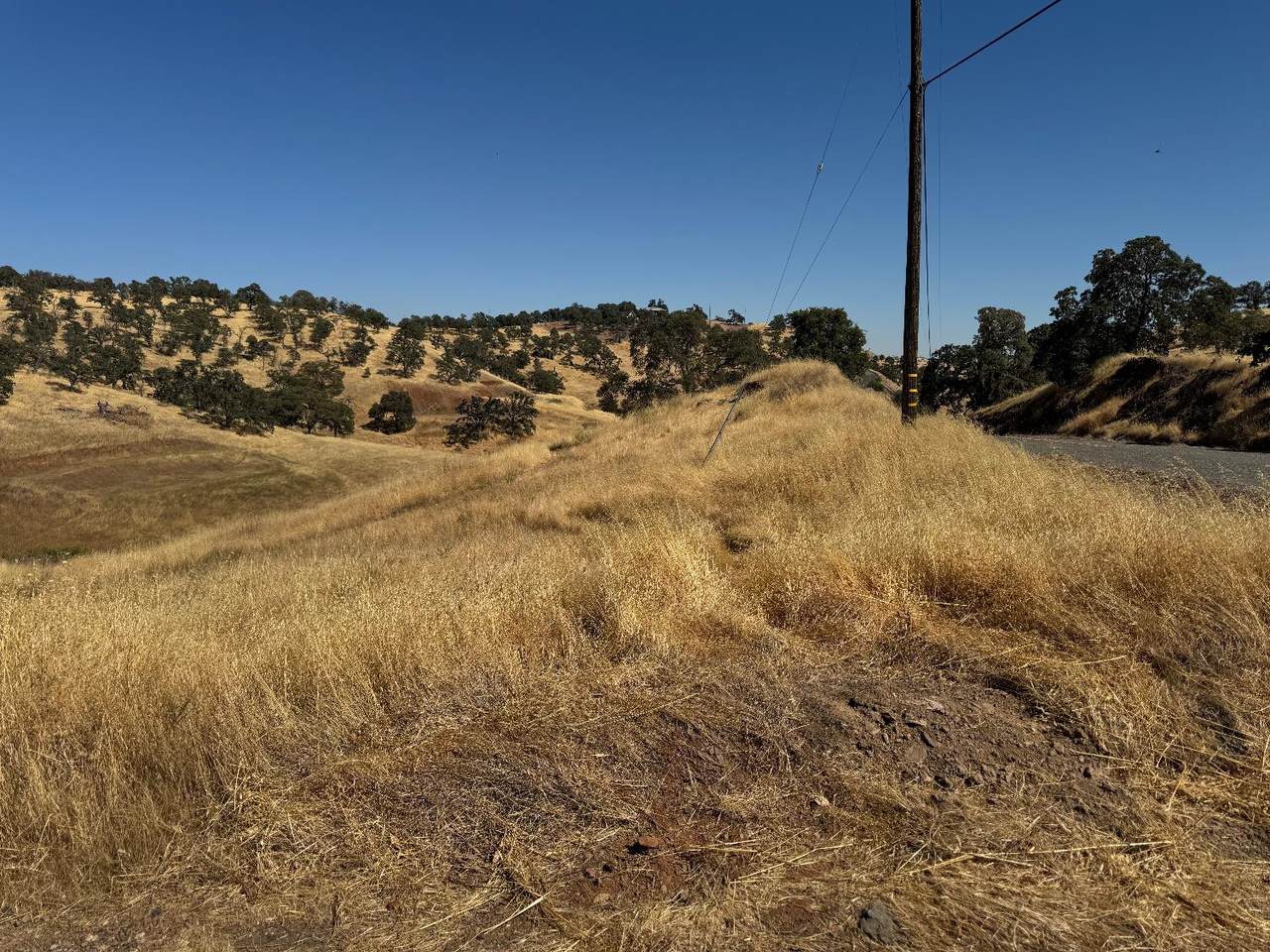 https://bt-photos.global.ssl.fastly.net/sacramento/1280_boomver_1_560895557-2.jpg