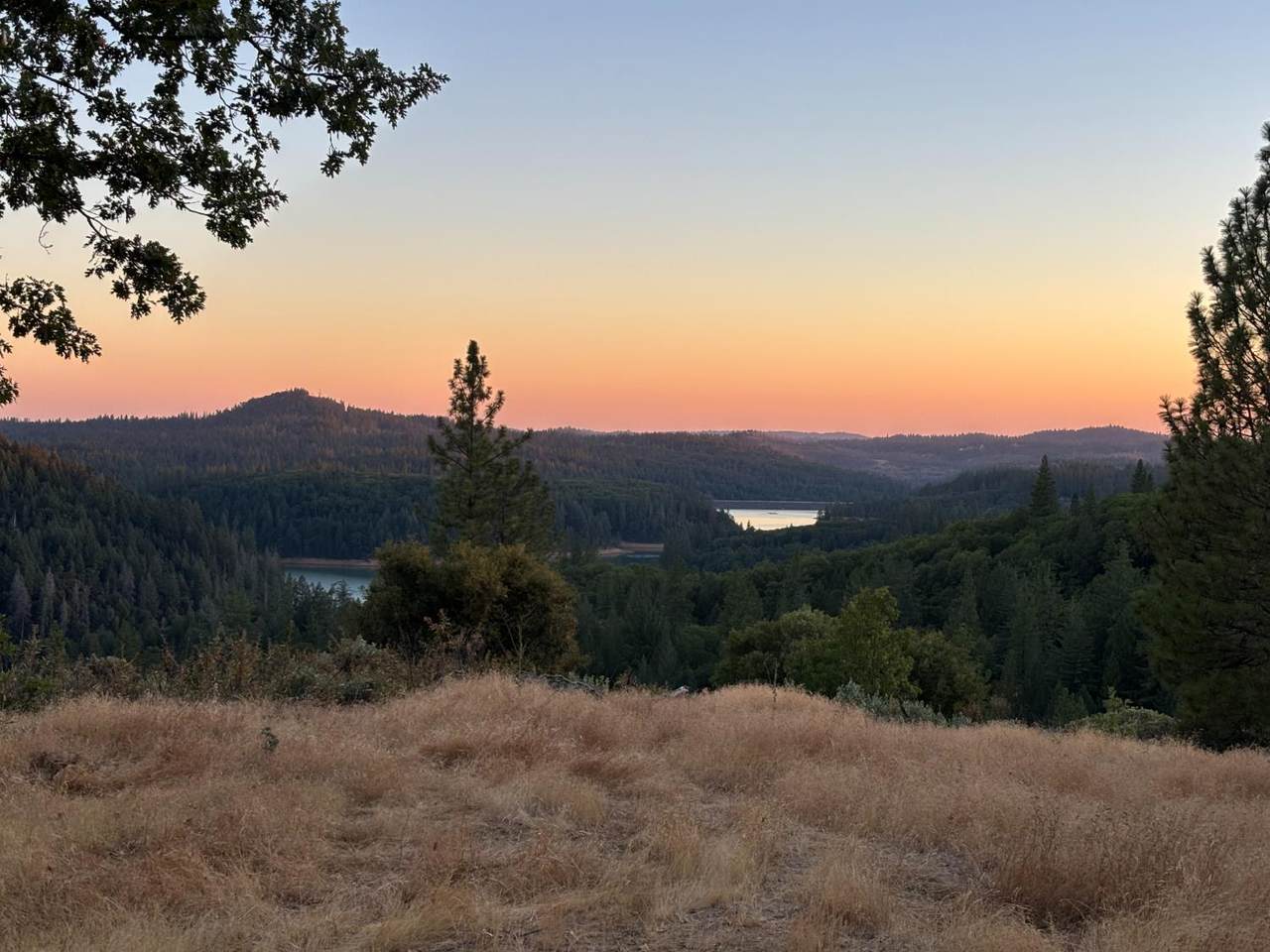 https://bt-photos.global.ssl.fastly.net/sacramento/1280_boomver_1_560896171-2.jpg