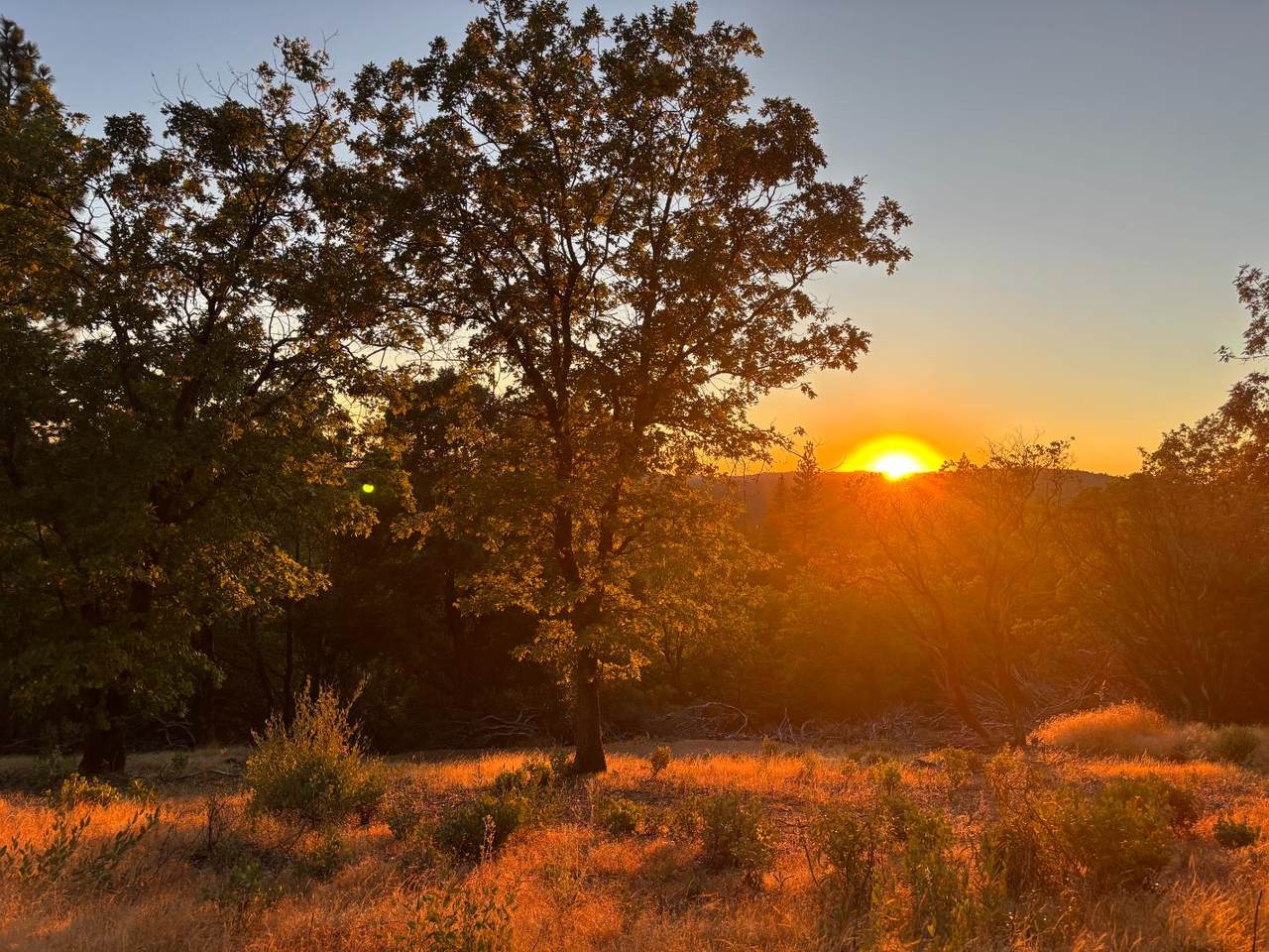 https://bt-photos.global.ssl.fastly.net/sacramento/1280_boomver_1_560896171-2.jpg