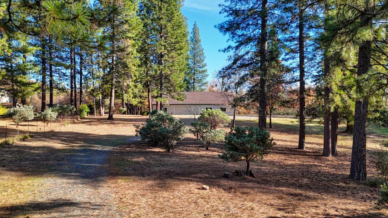 https://bt-photos.global.ssl.fastly.net/sacramento/1280_boomver_1_560897683-2.jpg