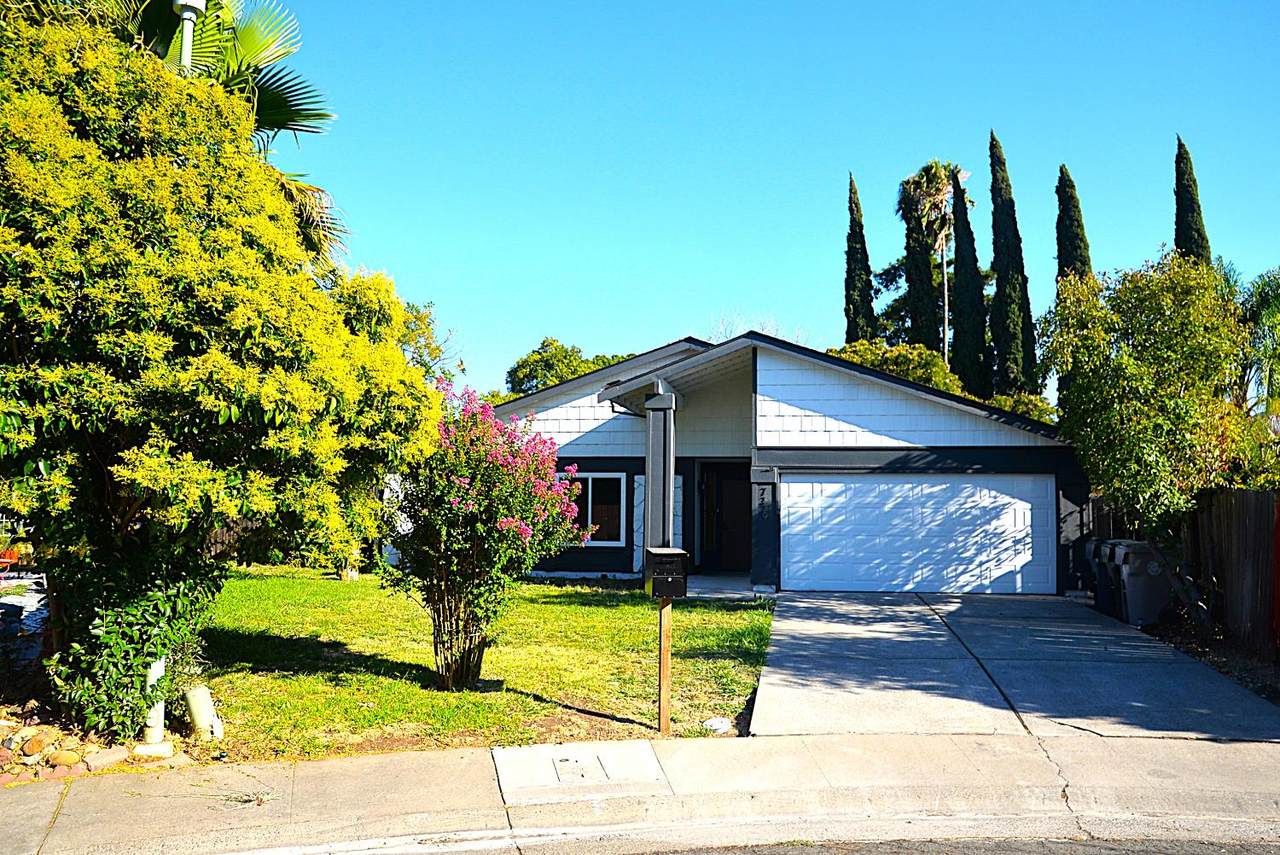 7339 Alcedo Circle - Photo 1
