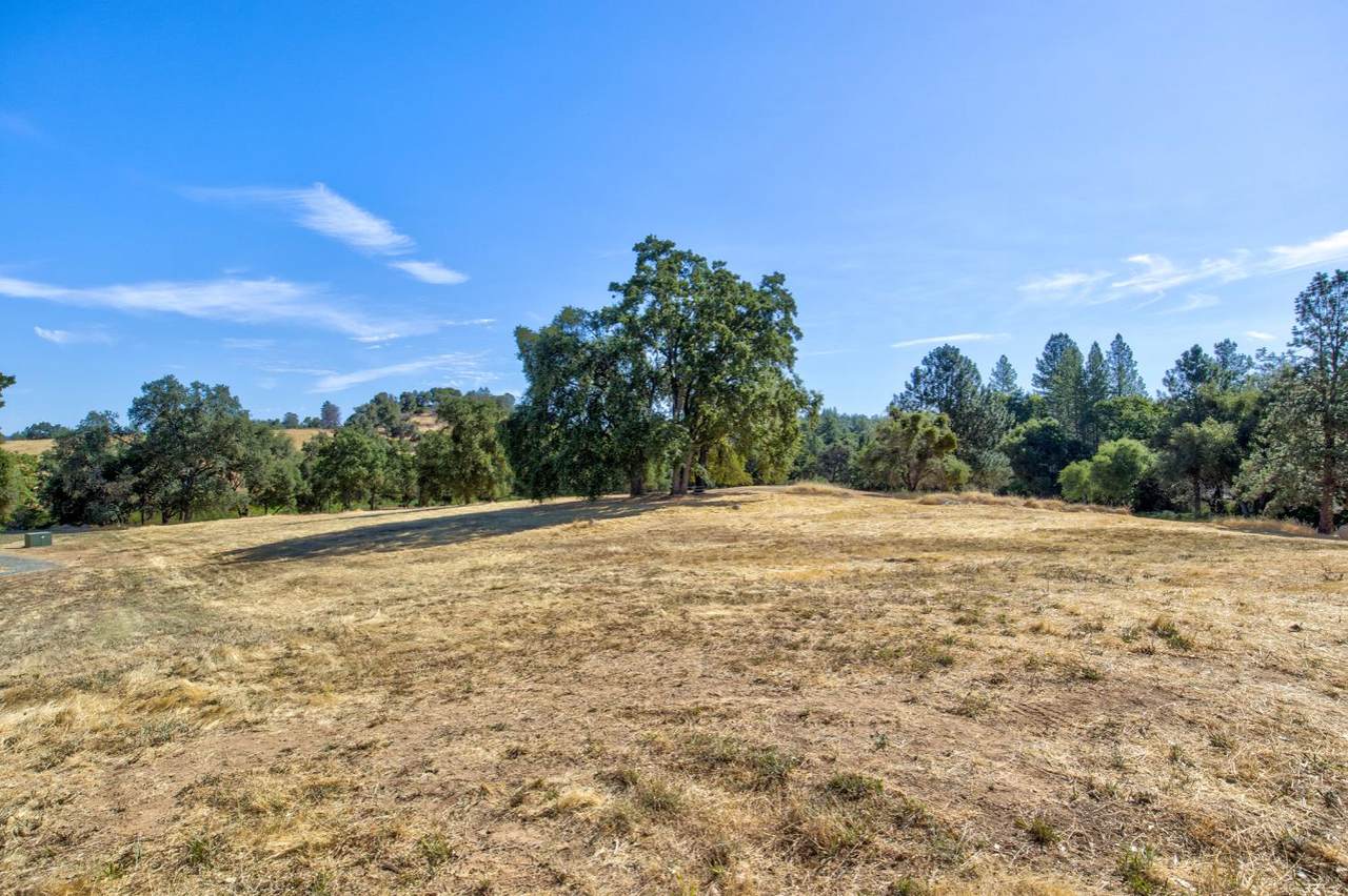 https://bt-photos.global.ssl.fastly.net/sacramento/1280_boomver_1_560898711-2.jpg