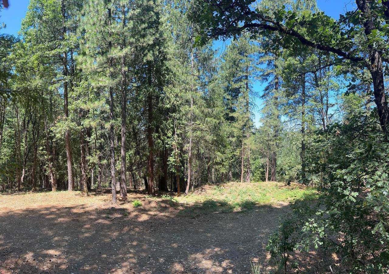 https://bt-photos.global.ssl.fastly.net/sacramento/1280_boomver_1_560899013-2.jpg