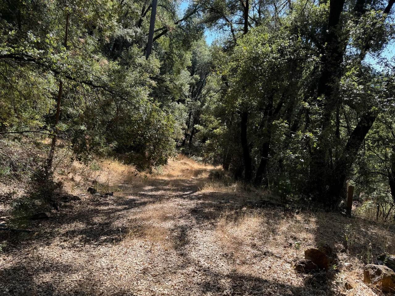 15539 Norvin Way - Photo 1