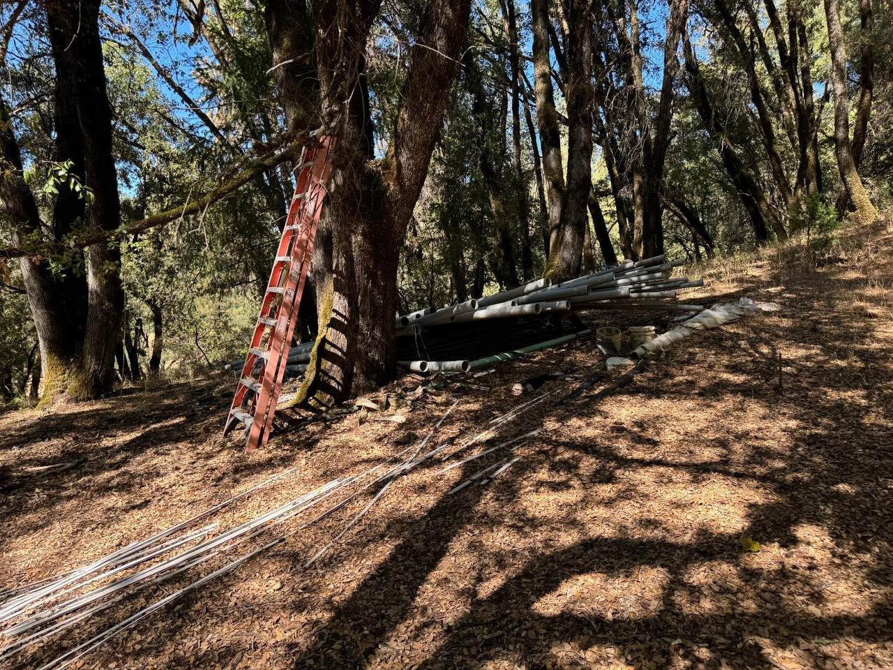 https://bt-photos.global.ssl.fastly.net/sacramento/1280_boomver_1_560899465-2.jpg