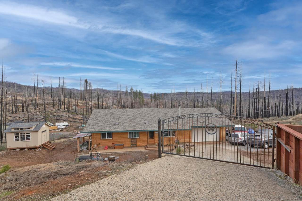 4949 Sciaroni Road - Photo 1