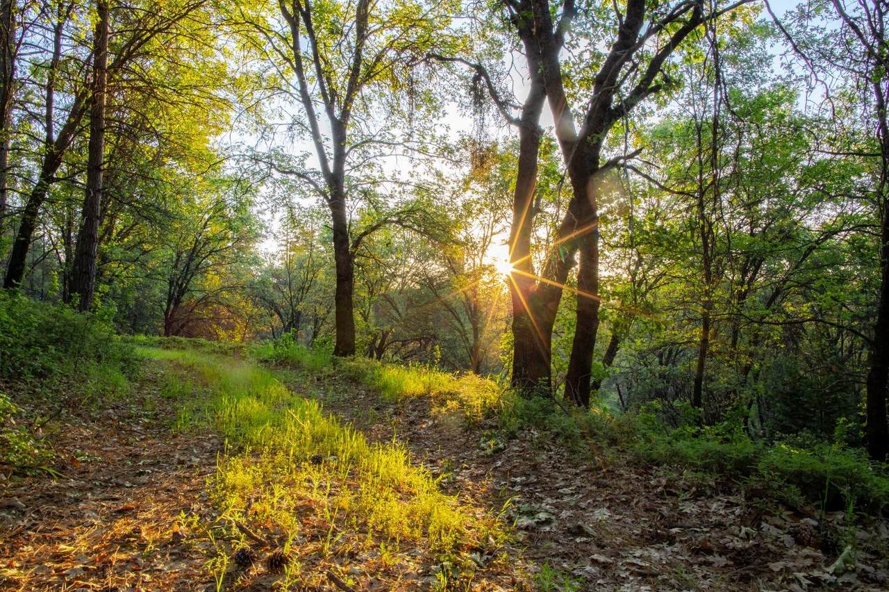 https://bt-photos.global.ssl.fastly.net/sacramento/1280_boomver_1_560899613-2.jpg