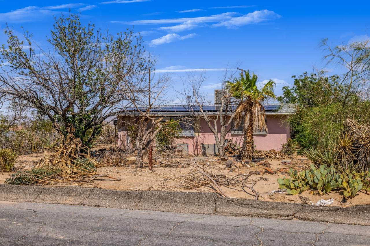 5525 Lupine - Photo 1