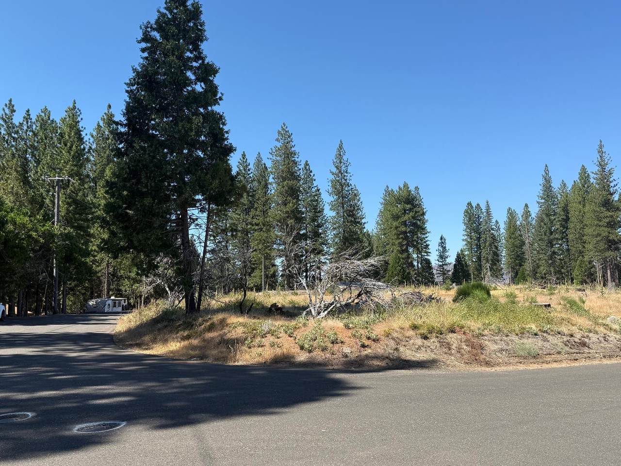 9981 Grizzly Flat Road - Photo 1