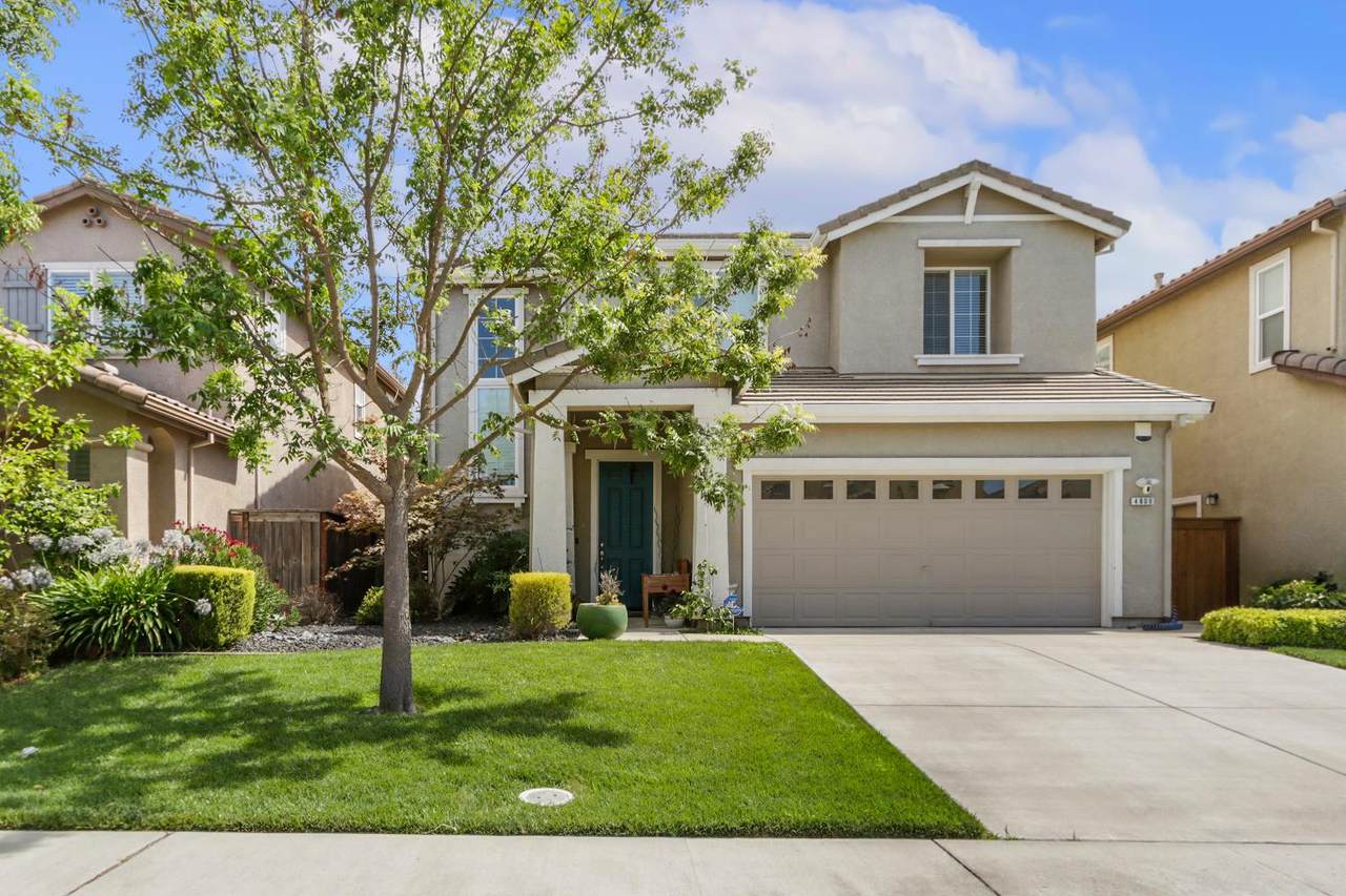 4808 Mastodon Way - Photo 1