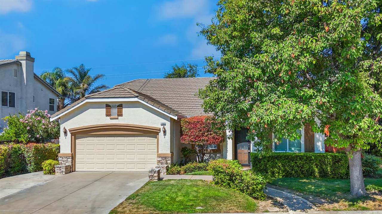 1565 Blue Lupine Lane - Photo 1