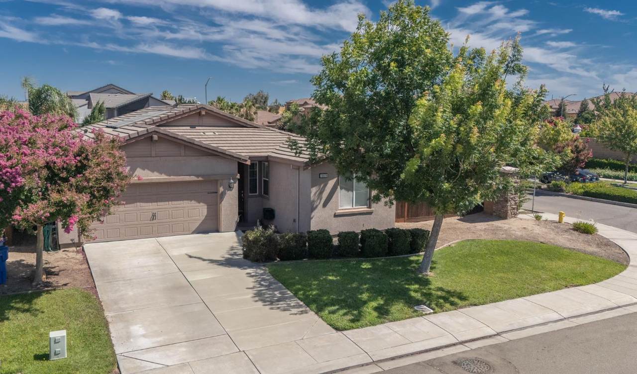 1171 Alba Street - Photo 1