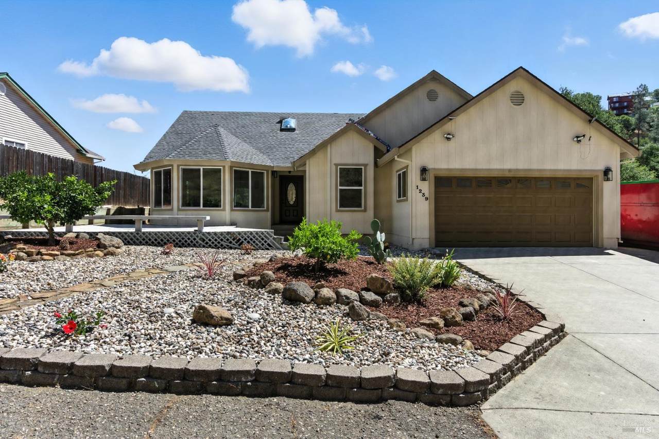 1239 Steele Canyon Road - Photo 1