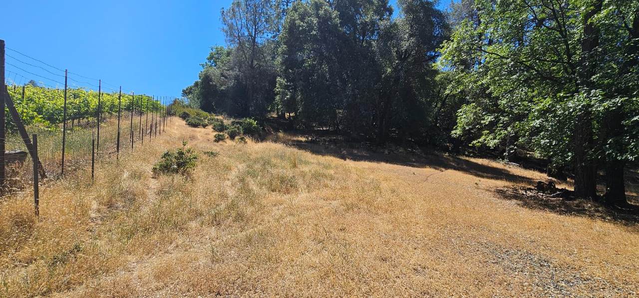 https://bt-photos.global.ssl.fastly.net/sacramento/1280_boomver_1_560902588-2.jpg