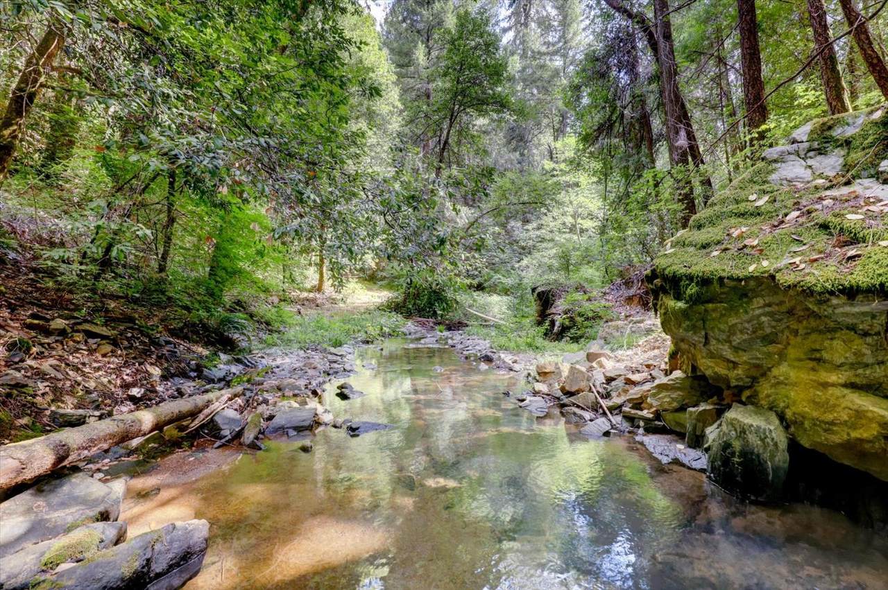 https://bt-photos.global.ssl.fastly.net/sacramento/1280_boomver_1_560902751-2.jpg
