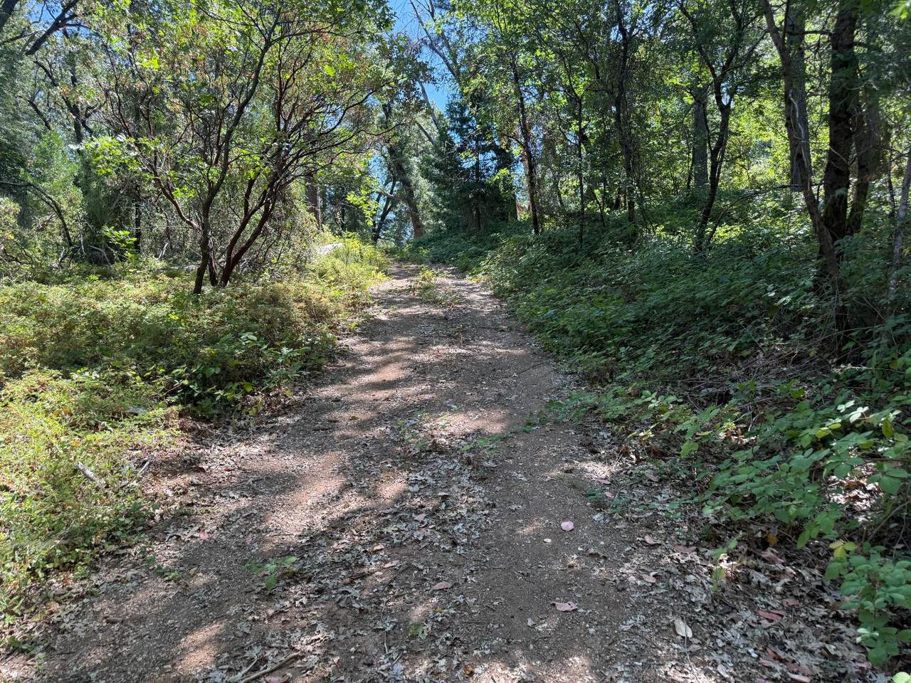 15473 Blind Shady Road - Photo 1