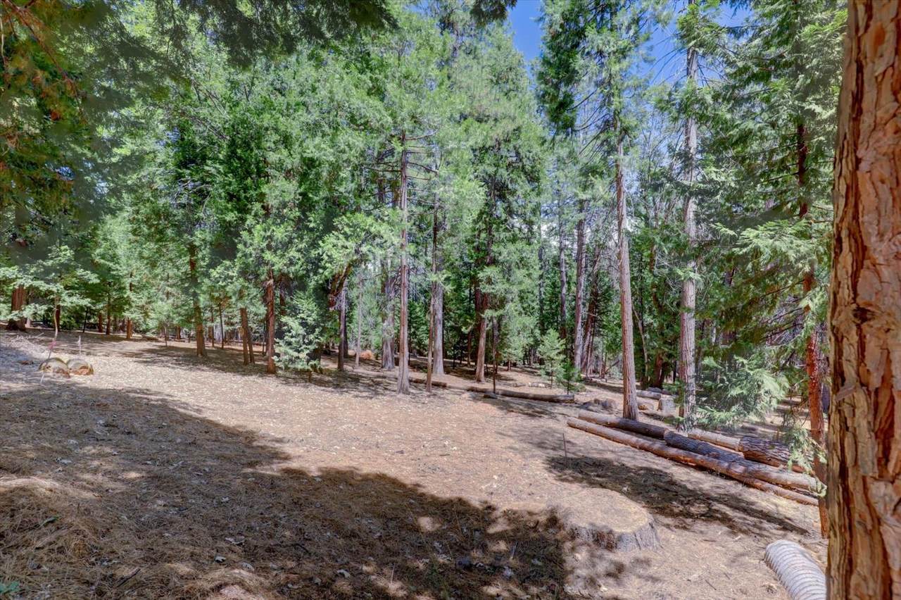 14115 Tahoe View Drive - Photo 1